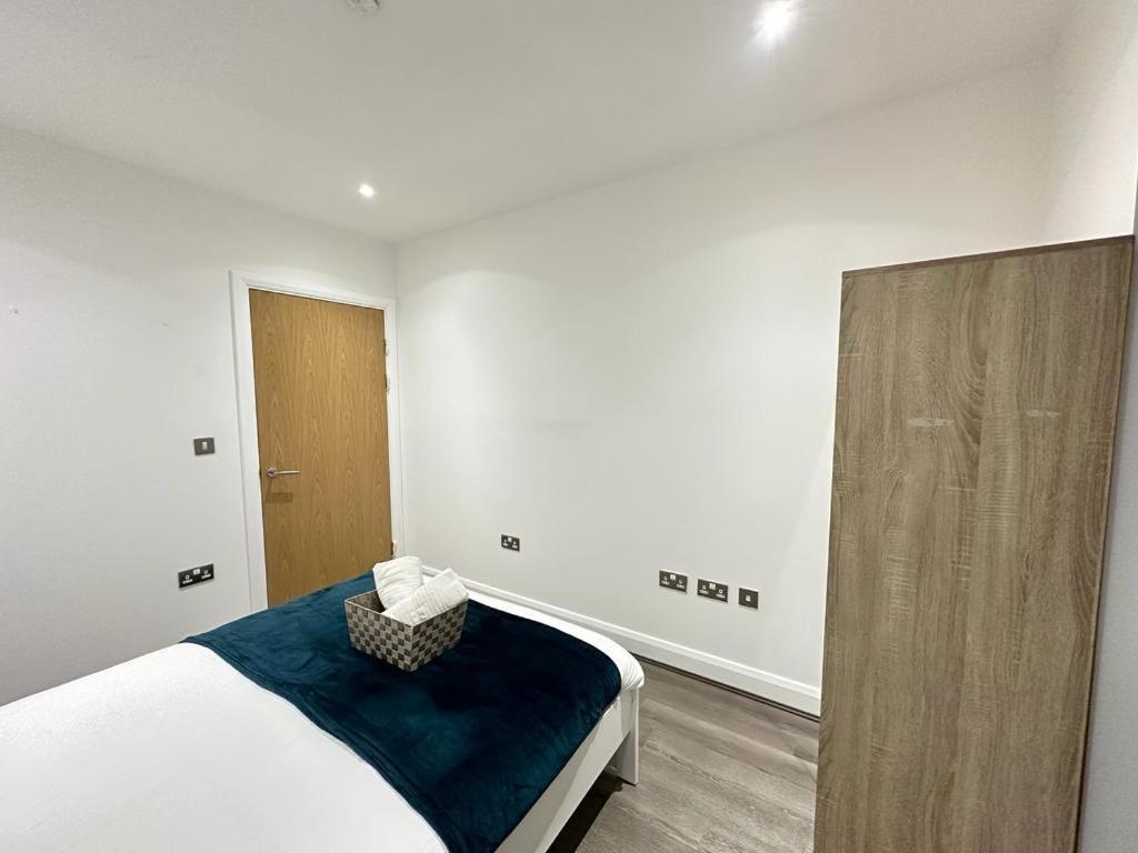 Luxury 2 Bedroom Penthouse Near Apartment London